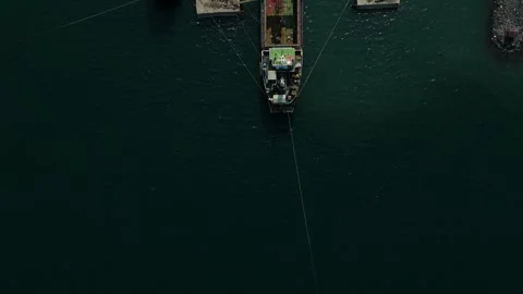Aerial perspective shows clustered cargo ships at a port. Ideal for shipping Vídeos de archivo 335302603