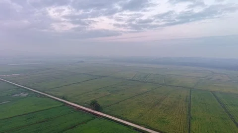 Aerial perspective shows endless green fields under moody clouds Stock Footage 337723410