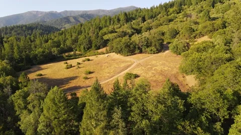 Aerial perspective of sprawling green forest in the mountains Video stock 272489221