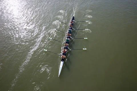 Aerial perspective of synchronized rowers training in long racing shell Stock Photos