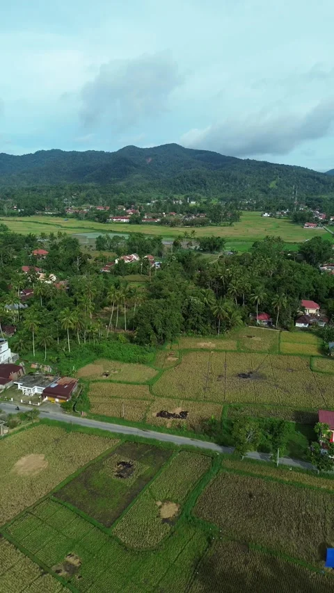 Aerial Perspective of Verdant Valleys and Rural Life Nestled Beneath Majest.. Stock-Footage 337276992