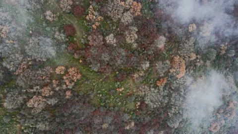 Aerial perspective view of flying over clouds clouds. Stock Footage 145401123