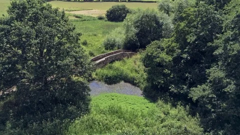 Aerial perspective view, forward move and stop. stone bridge, overgrown pond Stock Footage 93487672