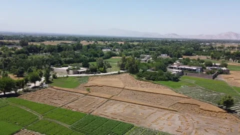 Aerial perspectives of cultivated wheat fields Video stock 274868485