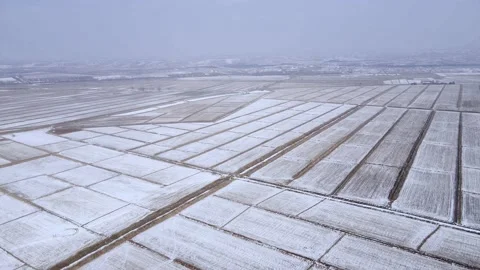 Aerial photograph of winter plain fields, after snow Vídeo Stock 234302954