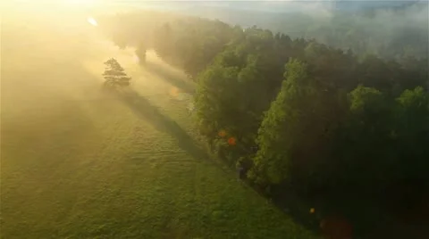 Aerial photography, 4K Sunrise, sunbeams in the misty forest above the river Stock Footage