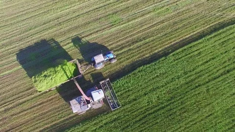 Aerial photography. Cleaning of fields by combines Stock Footage 80092020