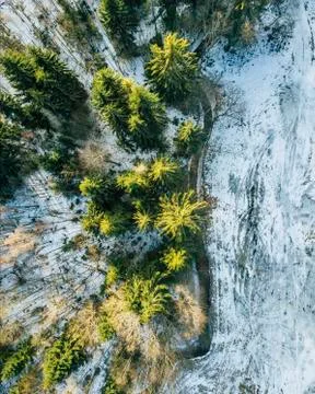 Aerial Photography of a Forest in Winter Stockfoto's