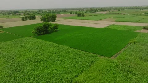 Aerial photography shot featuring a patchwork of fertile green crop fields in Stock Footage 348381564