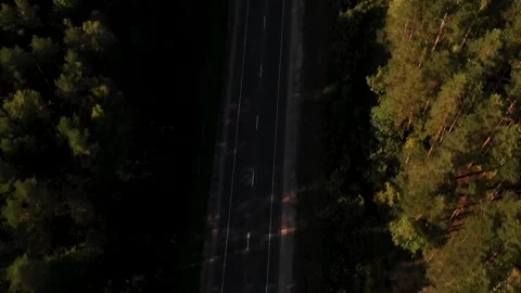 Aerial photography from summer forest Stock Footage
