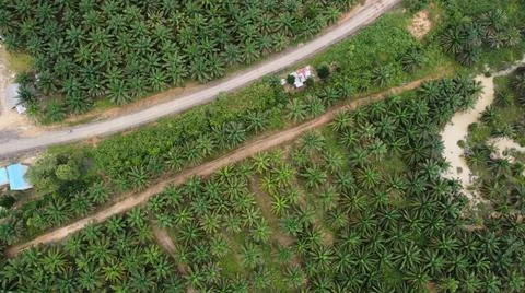 Aerial photography using drones Stock Photos