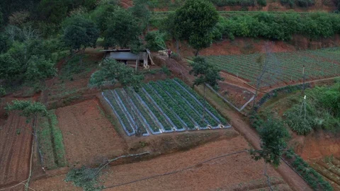 Aerial photography, working man in his garden in the mountains, Dalat, Vietnam Stock Footage 92959341