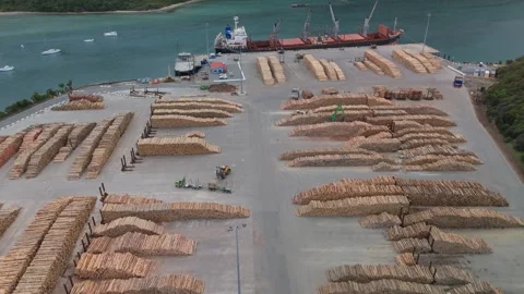 Aerial of Picton Cargo Ship Loading Logs Stock-Footage 333998719