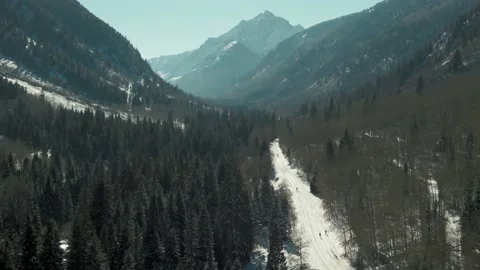 Aerial: Pine forest and mountain range covered in snow. Aspen, Colorado, USA Stock Footage 161055991