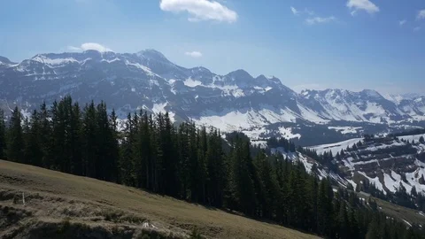 Aerial of pine forest and snow covered mountain during winter Stock Footage 76006280