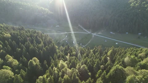 Aerial pine forest and valley Stock Footage 203980071