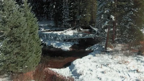 Aerial: Pine forest covered in snow and river. Aspen, Colorado, USA Stock Footage 161069278