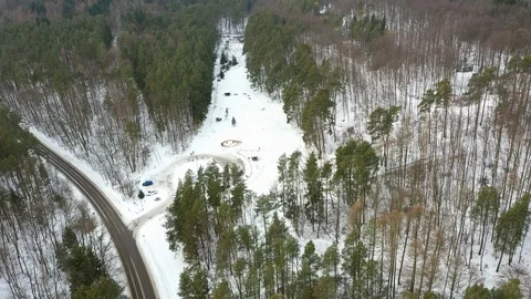 Aerial: Pine Forest in Winter Stock Footage 127645258