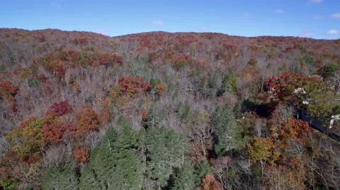 Aerial of Pine Mountain State Park in the Fall Stock Footage 64269138
