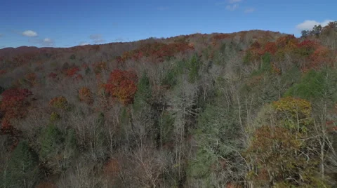 Aerial of Pine Mountain State Park in the Fall Stock Footage 64269612