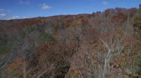 Aerial of Pine Mountain State Park in the Fall Stock Footage 64269933