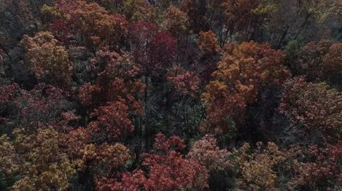 Aerial of Pine Mountain State Park in the Fall Stock Footage 64270034