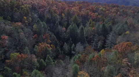 Aerial of Pine Mountain State Park in the Fall Stock Footage 64270520