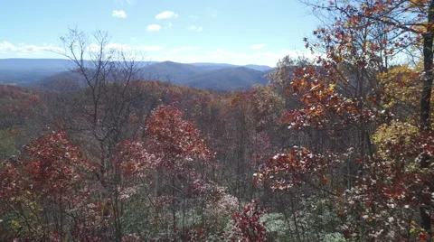 Aerial of Pine Mountain State Park in the Fall Stock Footage 64271784