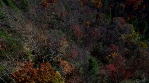 Aerial of Pine Mountain State Park in the Fall Stock Footage 64272148