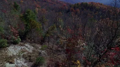 Aerial of Pine Mountain State Park in the Fall Stock Footage 64272352
