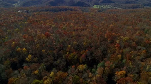 Aerial of Pine Mountain State Park in the Fall Stock Footage 64274286