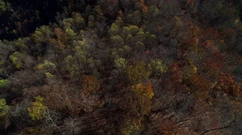 Aerial of Pine Mountain State Park in the Fall Stock Footage 64274323