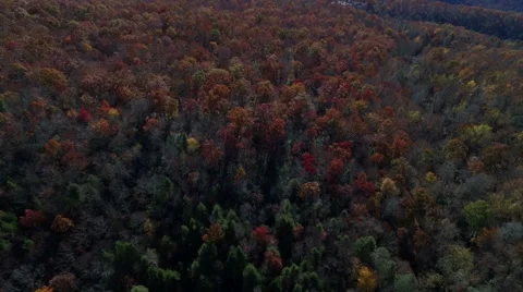 Aerial of Pine Mountain State Park in the Fall Stock Footage 64275354