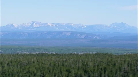 Aerial of pine tree forest and mountain in distance, Balanced layered image Stock Footage 109466565