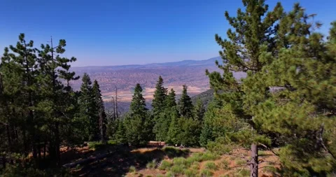 Aerial Pine Tree Forests Cuyama Valley Rugged Beauty Stock Footage 280784409