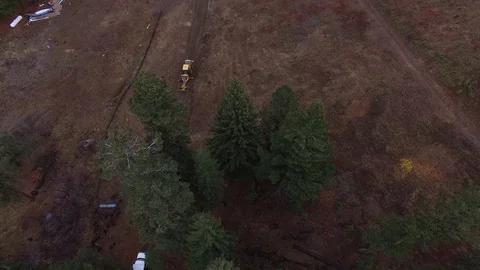 Aerial of Pine Trees in American Forest 1080 Stockbeeldmateriaal 86262272