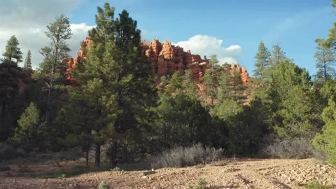 Aerial: Pine trees &amp; Buttes in Red Canyon, Utah, USA Stock Footage 130176040