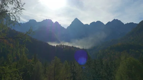 AERIAL: Pine trees in mountain valley Video stock 43041473