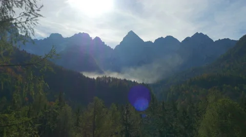 AERIAL: Pine trees in mountain valley Stock Footage 43065362