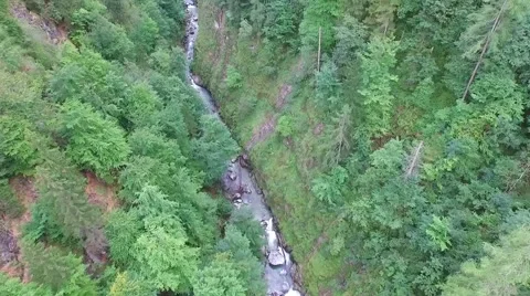 Aerial: Pine Trees In Mountain Valley Видео 58020579