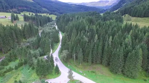 Aerial: Pine Trees In Mountain Valley 스톡 동영상 58092458