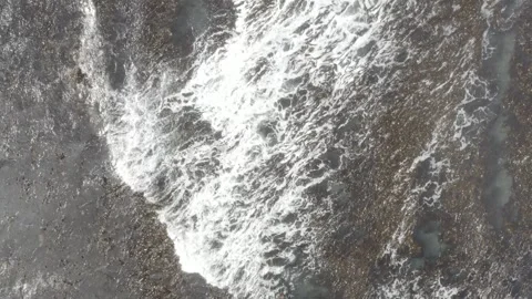 Aerial plan view of Kelp forest and rocky shore Cape Town South Africa #2 Stockbeeldmateriaal 319078447