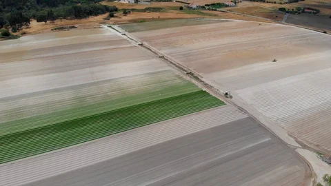 Aerial of platation. Stock Footage 127684400