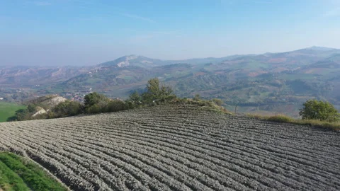 Aerial Plowed field Stock Footage 148560907