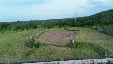 Aerial point of view of a green field with bare dirt patch. Stock Footage 336796013