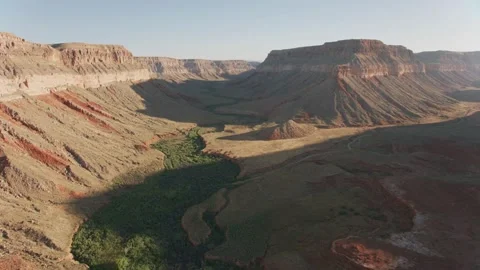 Aerial point of view over desert brush and cliffs of Grand Canyon in Arizona, Video stock 336577438