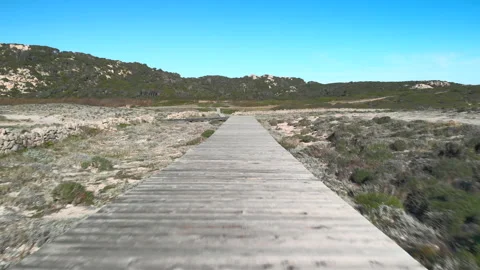Aerial point of view of wooden path in a wild valley Stock Footage 147048344