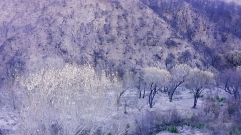 Aerial of Post Fire in California Stock Footage 142397448