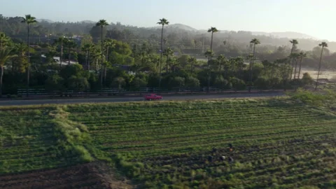 Aerial, pov, a 1966 red Chevelle on a country road, California, USA Video stock 140478564