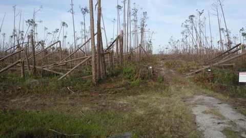 Mexico Beach Florida Stock Footage ~ Royalty Free Stock Videos | Pond5